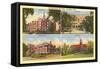 Ohio State University, Columbus, Ohio-null-Framed Stretched Canvas