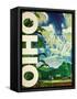 Ohio-null-Framed Stretched Canvas