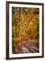 Ohiopyle Path-Robert Lott-Framed Art Print