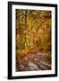 Ohiopyle Path-Robert Lott-Framed Art Print