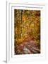 Ohiopyle Path-Robert Lott-Framed Giclee Print