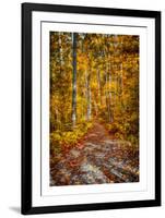 Ohiopyle Path-Robert Lott-Framed Giclee Print