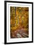 Ohiopyle Path-Robert Lott-Framed Giclee Print