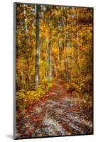 Ohiopyle Path-Robert Lott-Mounted Art Print