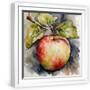 White Frame