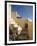 Oia, Santorini, Cyclades, Greek Islands, Greece, Europe-Angelo Cavalli-Framed Photographic Print