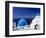 Oia, Santorini, Cyclades, Greek Islands, Greece, Europe-Sakis Papadopoulos-Framed Photographic Print