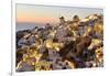 Oia,Santorini, Kyclades,South Aegean, Greece,Europe-Christian Heeb-Framed Photographic Print