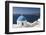 Oia, Santorini (Thira), Cyclades, Greek Islands, Greece, Europe-Angelo Cavalli-Framed Photographic Print