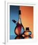 Oil And Vinegar-Aida Ianeva-Framed Giclee Print