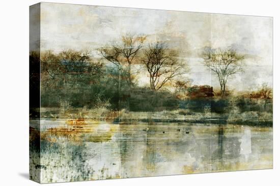 Oil and Water 2-Thea Schrack-Stretched Canvas