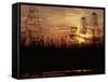 Oil Derricks at Sunset at Baku, Azerbaijan, USSR-Stan Wayman-Framed Stretched Canvas