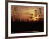 Oil Derricks at Sunset at Baku, Azerbaijan, USSR-Stan Wayman-Framed Photographic Print