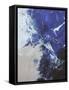 Oil Painting Abstraction with Beige Blue White Smears.Modern Art-Lekovetskasyte-Framed Stretched Canvas