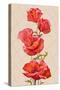 Oil Painting. Card with Poppies Flowers-Valenty-Stretched Canvas