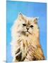 Oil Painting - Drawing of a Cat, Colorful Picture-Max5799-Mounted Photographic Print