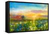 Oil Painting Flowers Dandelion, Cornflower, Daisy in Fields. Sunset Meadow Landscape with Wildflowe-pluie_r-Framed Stretched Canvas