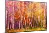 Oil Painting Landscape - Colorful Autumn Trees. Semi Abstract Image of Forest, Aspen Trees with Yel-pluie_r-Mounted Art Print