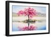 Oil Painting Landscape, Oriental Cherry Tree, Sakura on the Lake-Fresh Stock-Framed Art Print