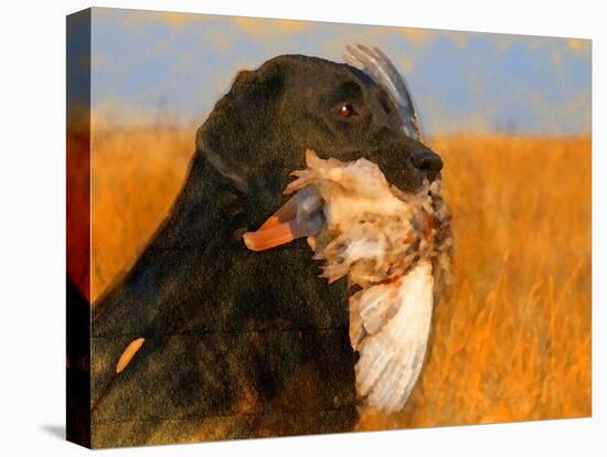 Oil Painting Portrait Of Black Labrador With Duck-Yarvet-Stretched Canvas