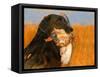 Oil Painting Portrait Of Black Labrador With Duck-Yarvet-Framed Stretched Canvas