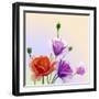 Oil Painting. Spring Card with Poppies Flowers-Valenty-Framed Art Print