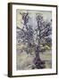 Oil Painting-oil painting-Framed Art Print