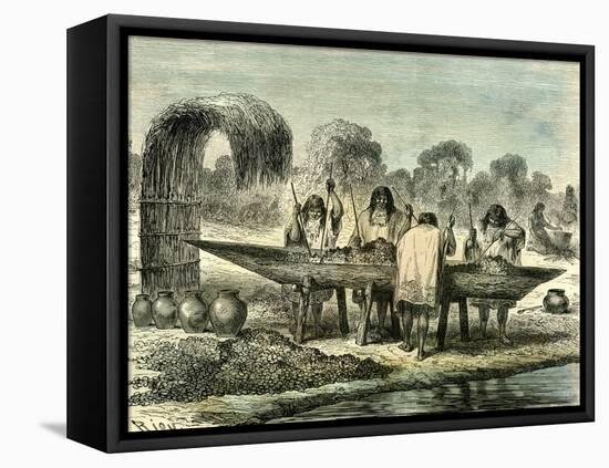 Oil Production of Turtle Eggs by Conibos 1869 Peru-null-Framed Stretched Canvas