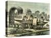 Oil Production of Turtle Eggs by Conibos 1869 Peru-null-Stretched Canvas