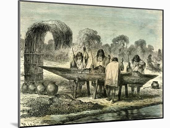 Oil Production of Turtle Eggs by Conibos 1869 Peru-null-Mounted Giclee Print