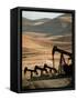 Oil Pumps Work the Midway Sunset Oil Field West of Taft, Calif.-null-Framed Stretched Canvas