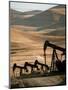 Oil Pumps Work the Midway Sunset Oil Field West of Taft, Calif.-null-Mounted Photographic Print