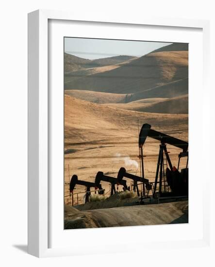 Oil Pumps Work the Midway Sunset Oil Field West of Taft, Calif.-null-Framed Photographic Print