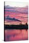 Oil Refinery At Sunset-David Nunuk-Stretched Canvas