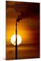 Oil Refinery Gas Flare, Aruba-Paul Souders-Mounted Photographic Print