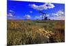 Oil Rig-null-Mounted Photographic Print