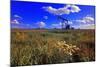 Oil Rig-null-Mounted Photographic Print