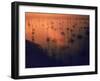 Oil Rigs Dating from the 1920's Dot the Shallows of Galveston Bay-Ralph Crane-Framed Photographic Print