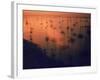 Oil Rigs Dating from the 1920's Dot the Shallows of Galveston Bay-Ralph Crane-Framed Photographic Print