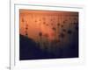 Oil Rigs Dating from the 1920's Dot the Shallows of Galveston Bay-Ralph Crane-Framed Photographic Print