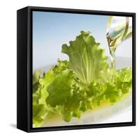 Oil Running onto Lettuce Leaves-Brigitte Wegner-Framed Stretched Canvas