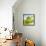 Oil Running onto Lettuce Leaves-Brigitte Wegner-Framed Stretched Canvas displayed on a wall