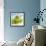 Oil Running onto Lettuce Leaves-Brigitte Wegner-Framed Photographic Print displayed on a wall