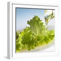 Oil Running onto Lettuce Leaves-Brigitte Wegner-Framed Photographic Print