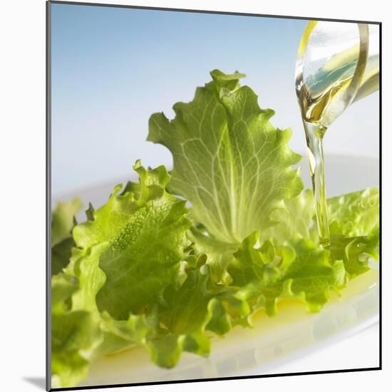 Oil Running onto Lettuce Leaves-Brigitte Wegner-Mounted Photographic Print