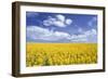 Oil-Seed Rape Field-Anthony Harrison-Framed Photographic Print