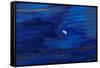 Oil Slick from Tanker Collision-null-Framed Stretched Canvas