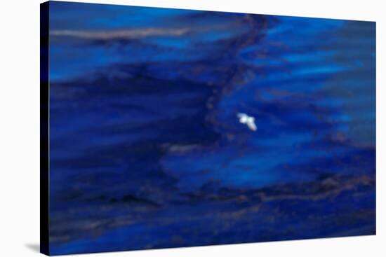 Oil Slick from Tanker Collision-null-Stretched Canvas