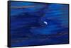 Oil Slick from Tanker Collision-null-Framed Stretched Canvas