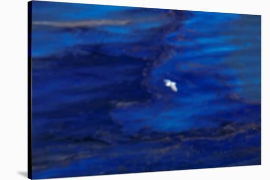 Oil Slick from Tanker Collision-null-Stretched Canvas
